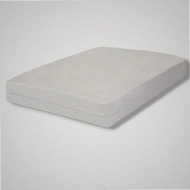 All-In-One White Bed Bug Blocker Zippered Mattress Protector Cover, Queen