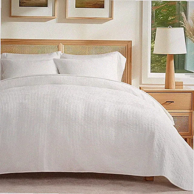 Luxurious White Velvet Quilt Set King Size with 2 Shams - All Season Comforter