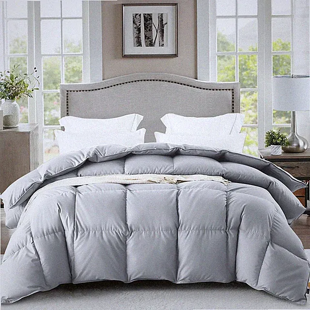 Queen Size Down Comforter, Luxurious All-Season Duvet Insert with noiseless S...